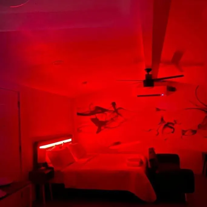 Phoenix Retreat - Studio With King Bed - 10 Min From Airp - Unit C 미국